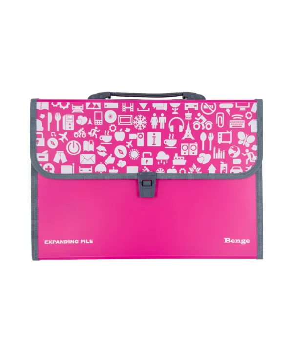 Folder oficio 12 bolsillos X Unidad