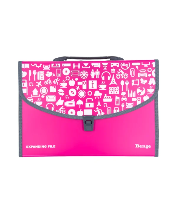 Folder oficio 12 bolsillos X Unidad