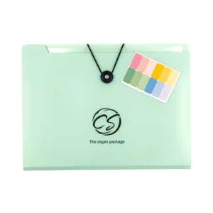 Sobre plástico colores carta 12 bolsillos X Unidad