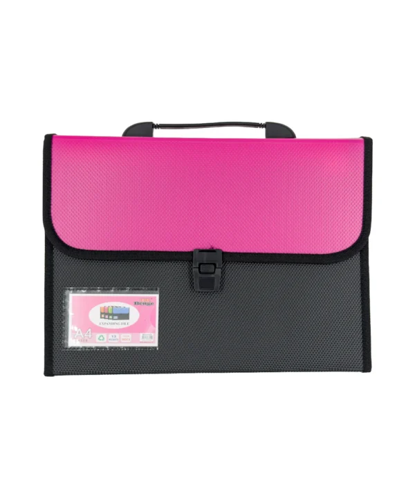 Folder negro tapa color Carta 12 bolsillos X Unidad