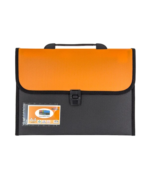 Folder negro tapa color Carta 12 bolsillos X Unidad
