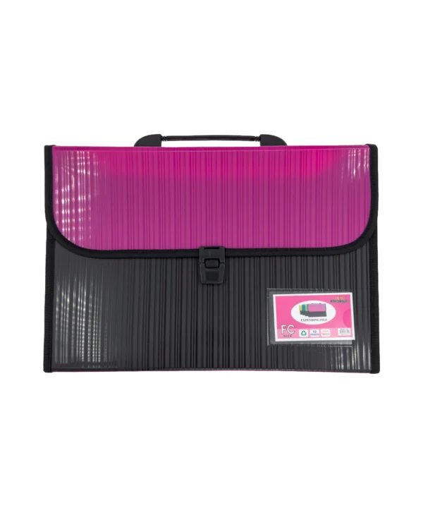 Folder negro tapa color Oficio 12 bolsillos X Unidad