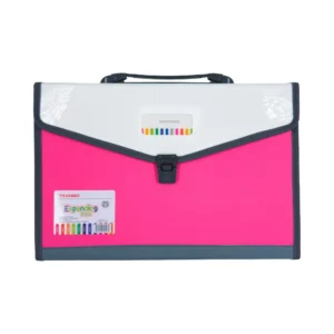 Folder oficio 12 bolsillos X Unidad