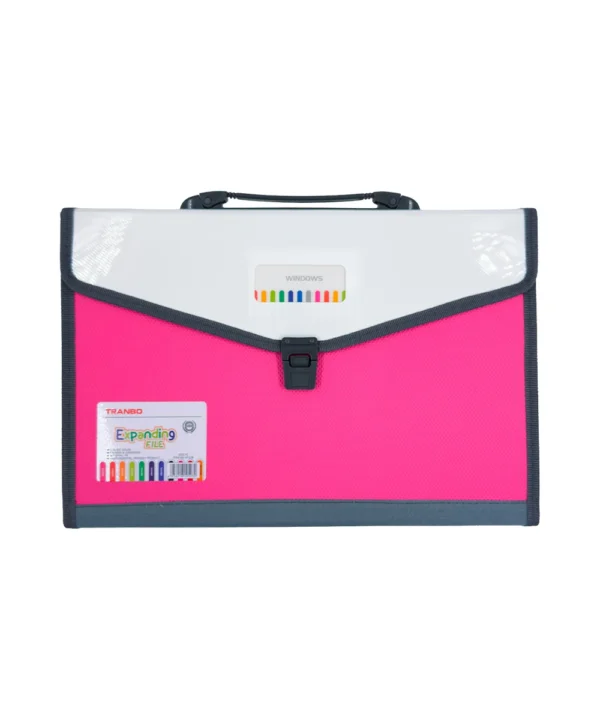Folder oficio 12 bolsillos X Unidad