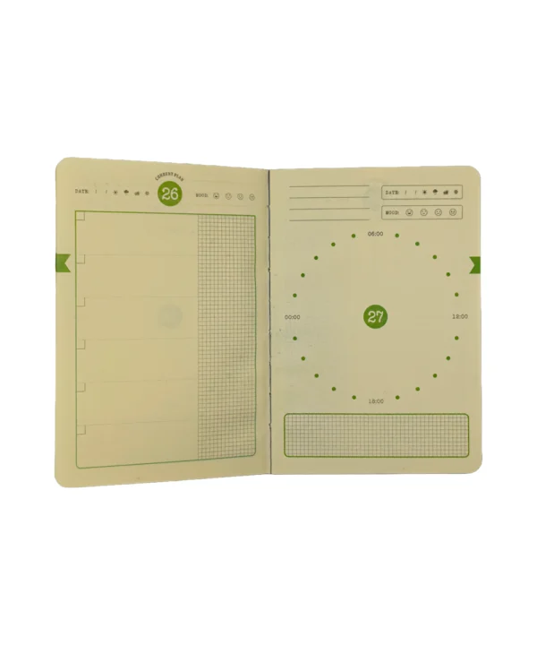 Kit planeador oso X Unidad