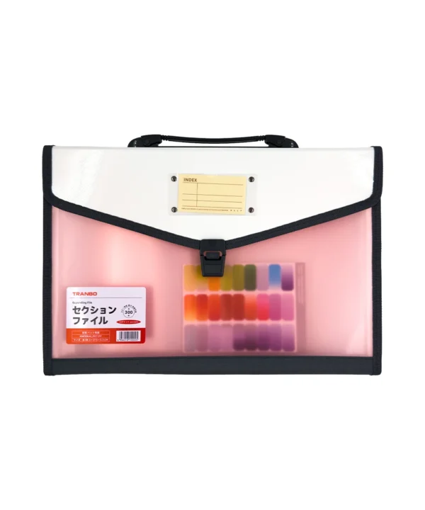 Folder con transparencia Oficio 12 bolsillos X Unidad