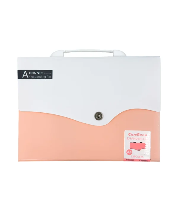 Folder carta 12 bolsillos X Unidad