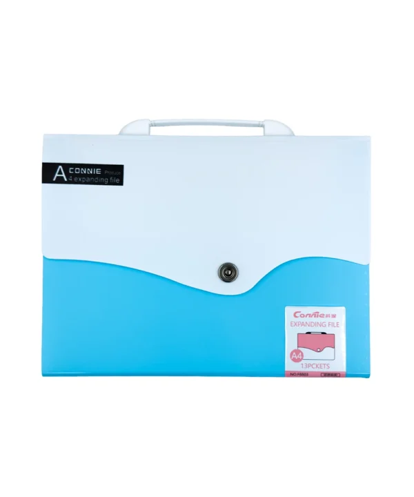 Folder carta 12 bolsillos X Unidad