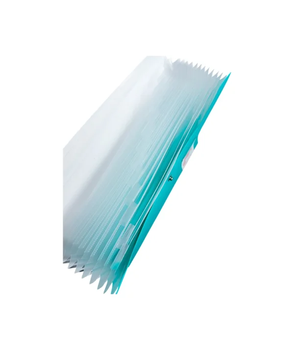 Folder carta 12 bolsillos X Unidad