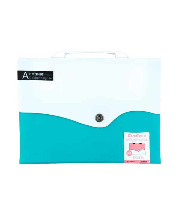 Folder carta 12 bolsillos X Unidad