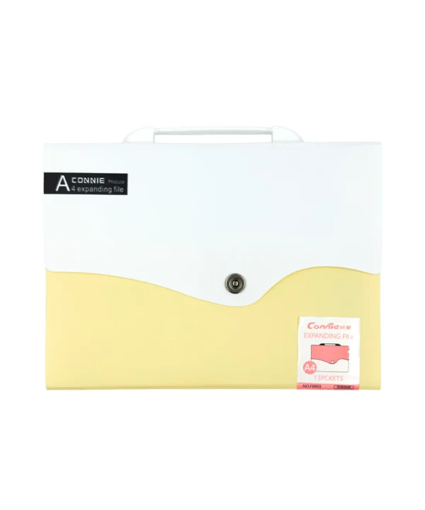 Folder carta 12 bolsillos X Unidad